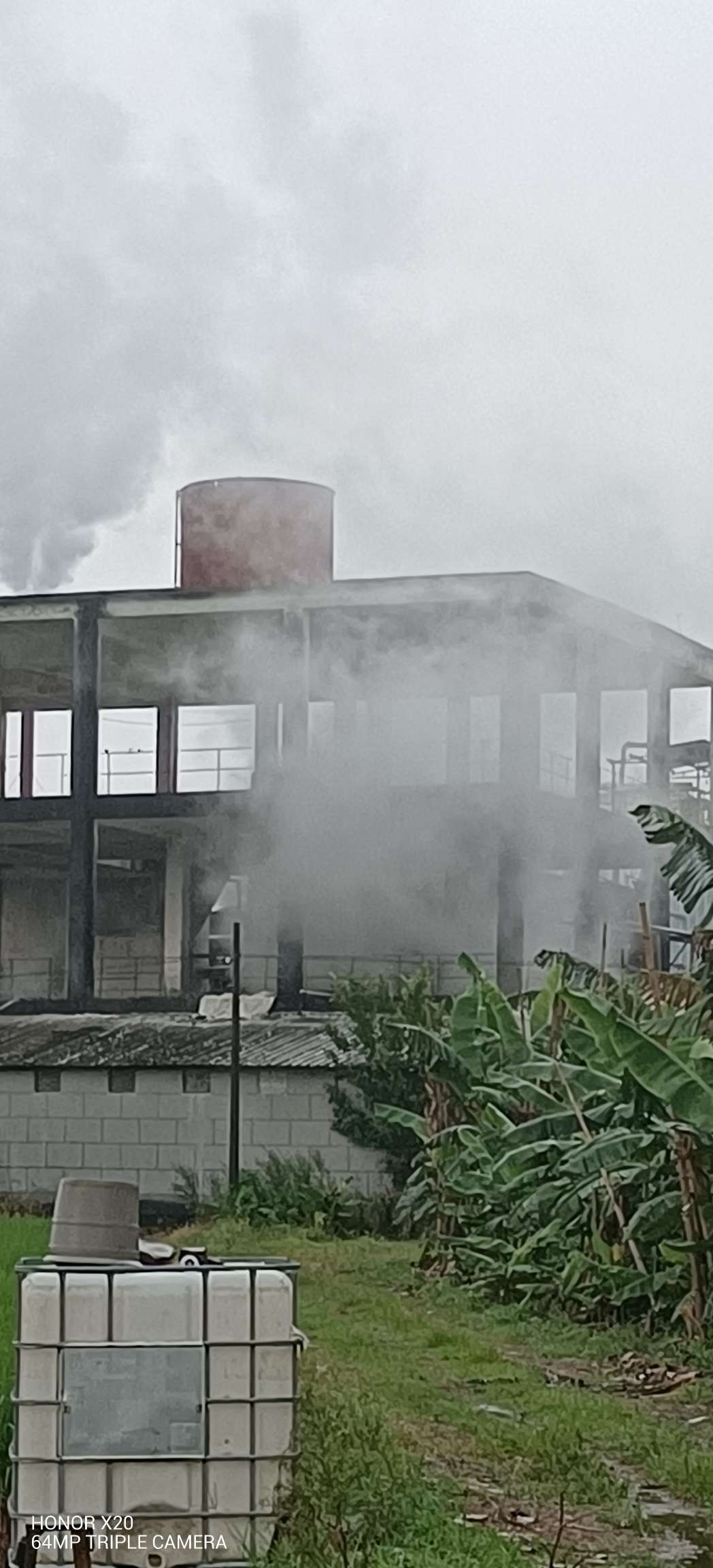 网民举报！广东省江门市恩平市东成镇白翠华化工厂污染农田