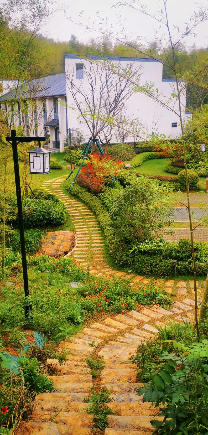 读图！安徽芜湖繁昌区初冬的山区景色宜人，环境优美