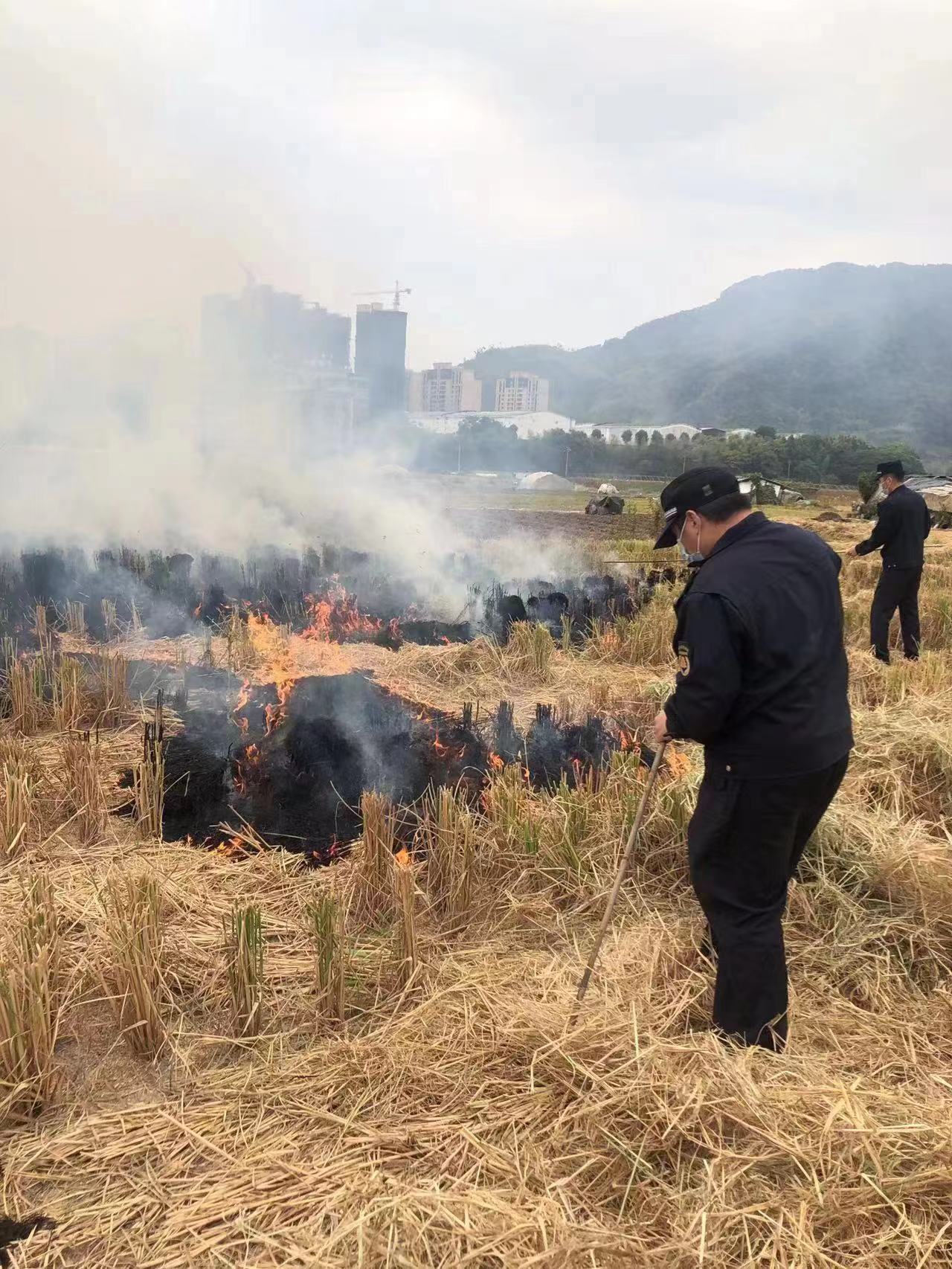 福建建瓯：网格巡查无死角，秸秆禁烧筑防线