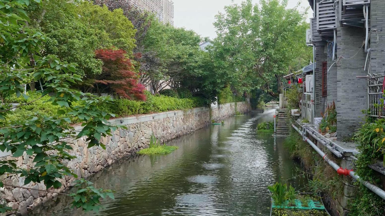 台州路桥：消除城市黑臭水体、推进城乡人居环境整治