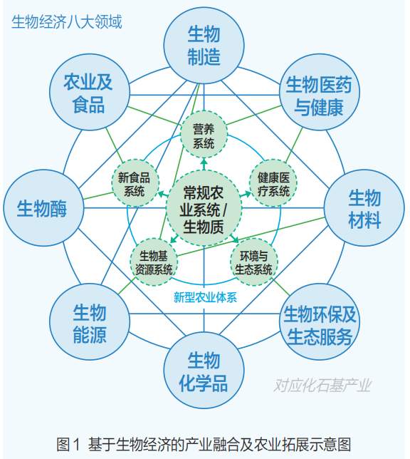 中国农业大学邓心安：我国发展生物经济的对策和建议