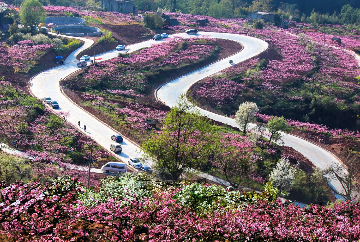 成都龙泉山城市森林公园四季如画图