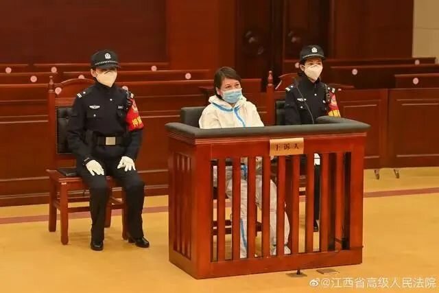 2022年中国十大刑案