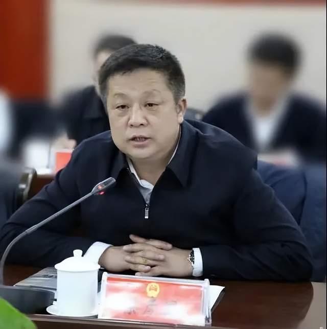 以矿山恢复治理为名大肆进行非法采矿，获刑14年