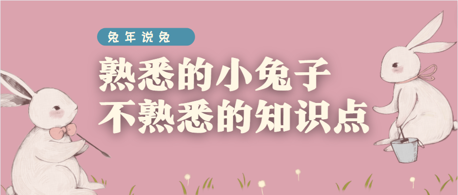 关于兔子，还有这些你不知道的小秘密！