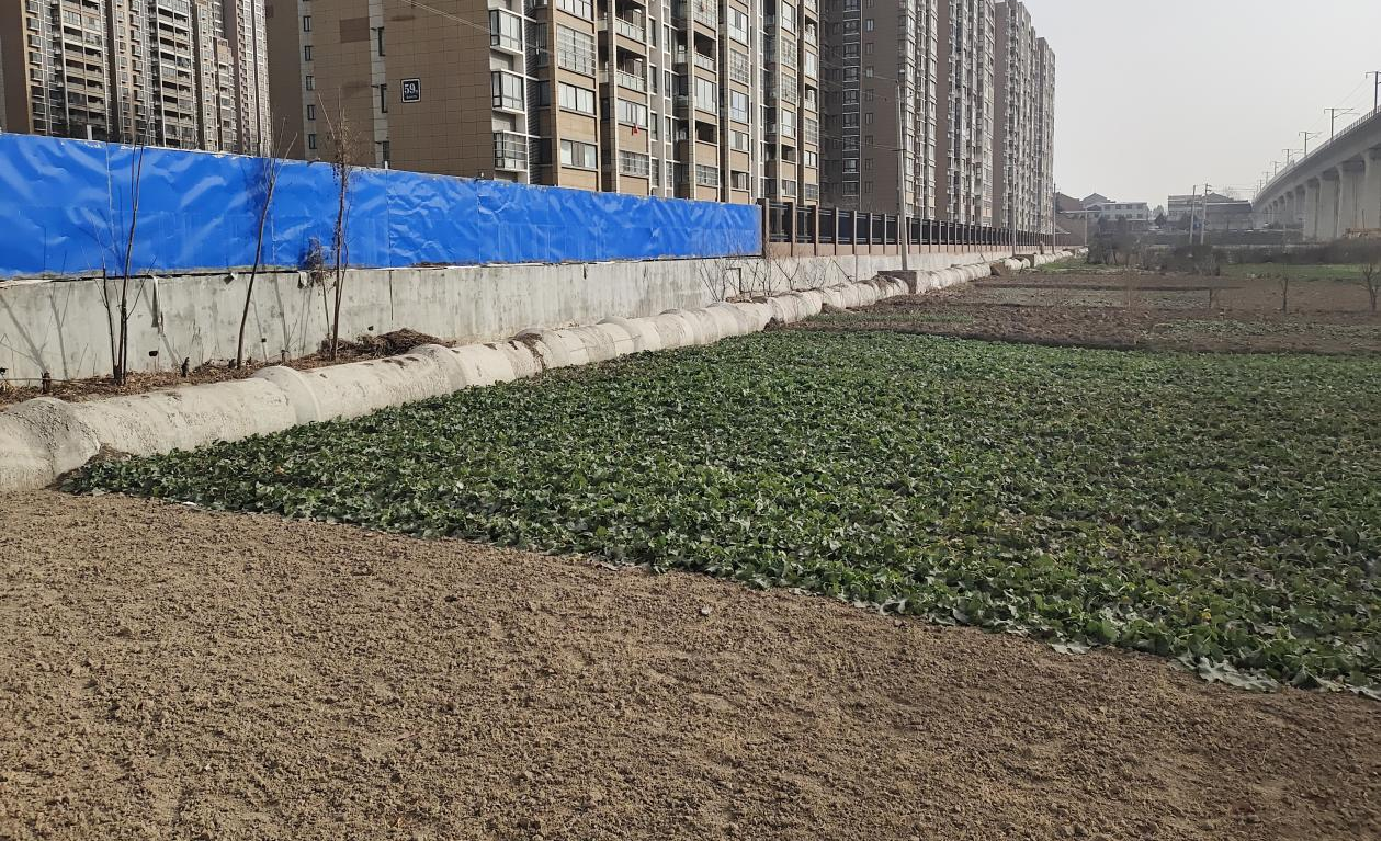 异地修复，推动宝鸡污水洼地换新颜