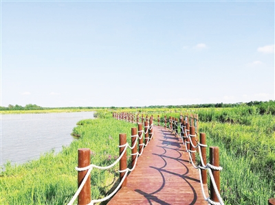 上海让城市发展与湿地保护相得益彰