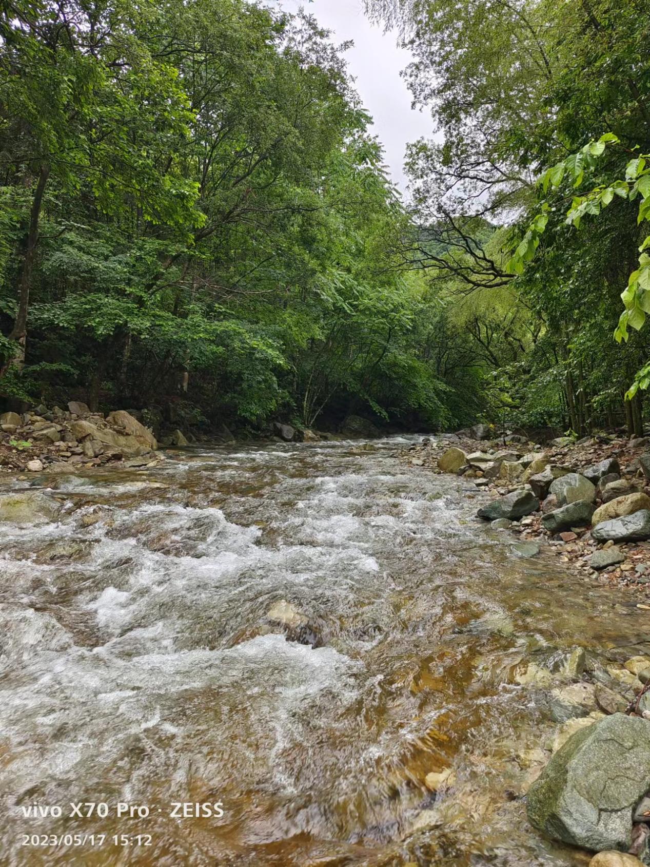 黄山九龙峰探索多方参与生物多样性保护