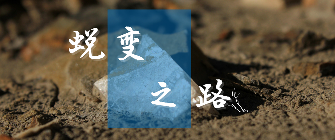 被中央环保督察“点名”后，这家企业如何逆袭成为“龙头”企业？
