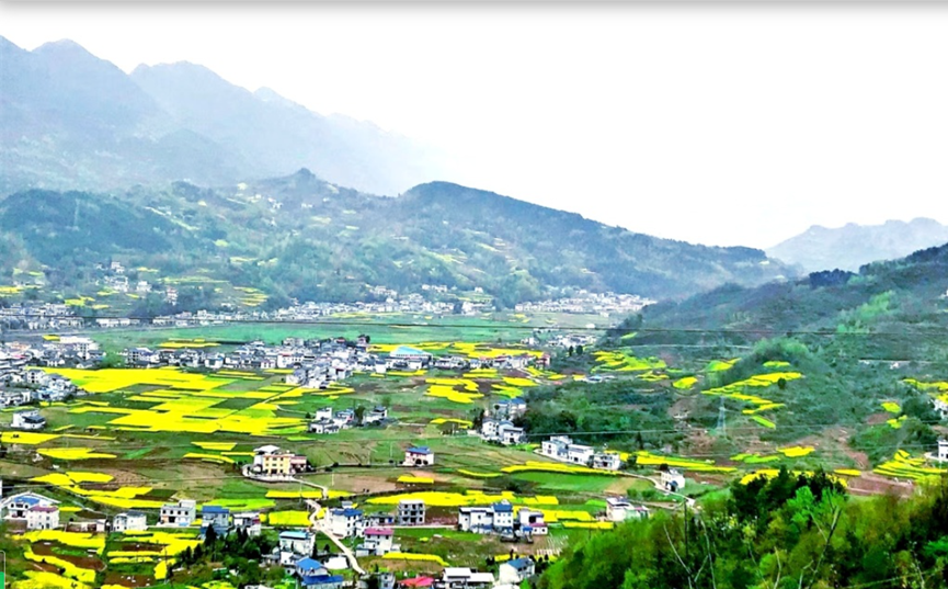 湖北省厅驻点帮扶建始县马坡村，解决群众难题，绘就美丽乡村新画卷