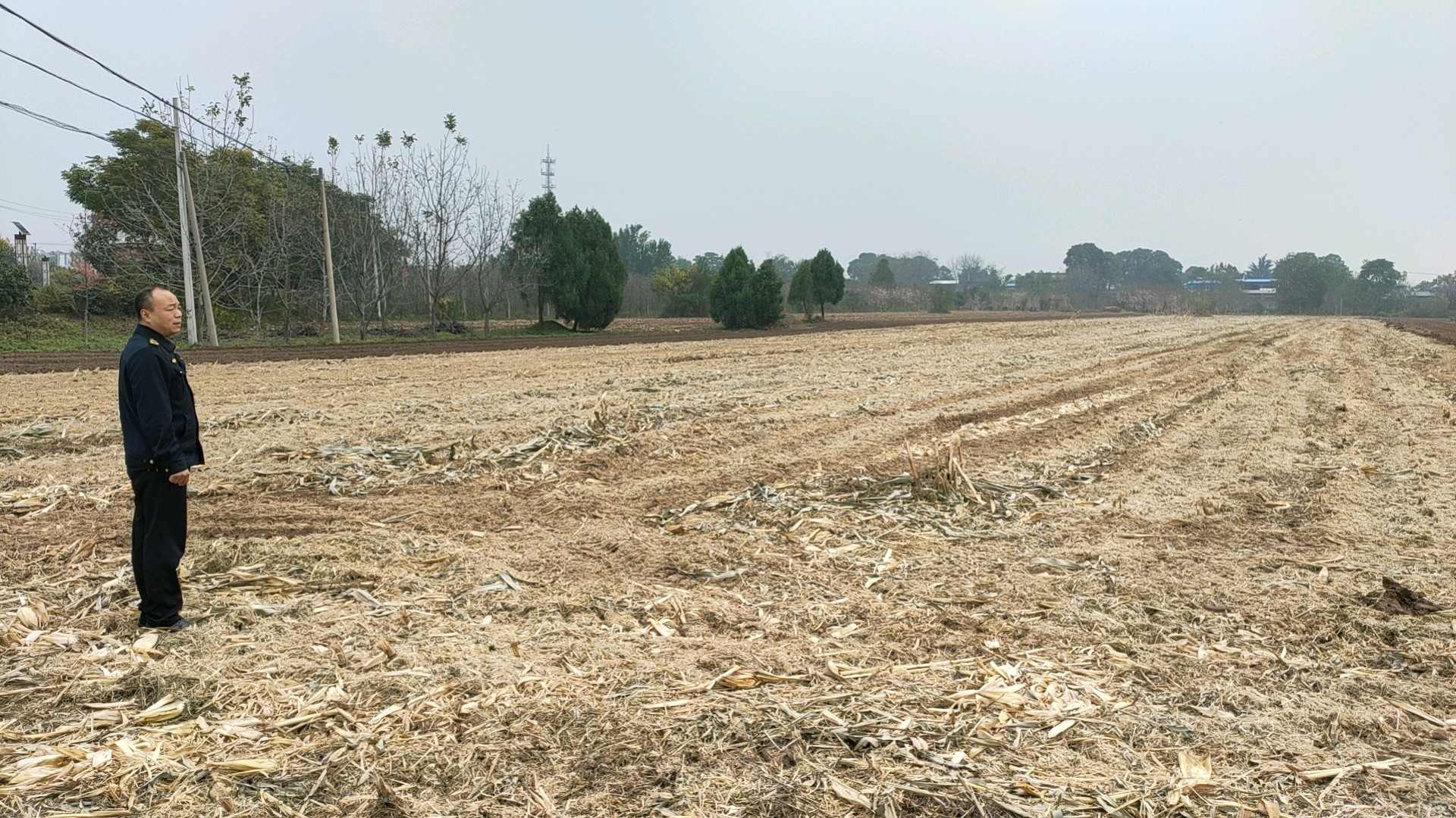 丰原镇北雷村秸秆禁烧巡查